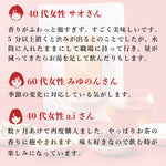 澄楽茶