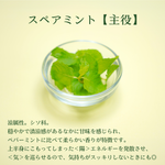 爽解茶